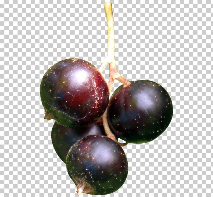 Grape Blackcurrant Berry Portable Network Graphics Fruit PNG, Clipart, Auglis, Berry, Black Currant, Blackcurrant, Christmas Ornament Free PNG Download