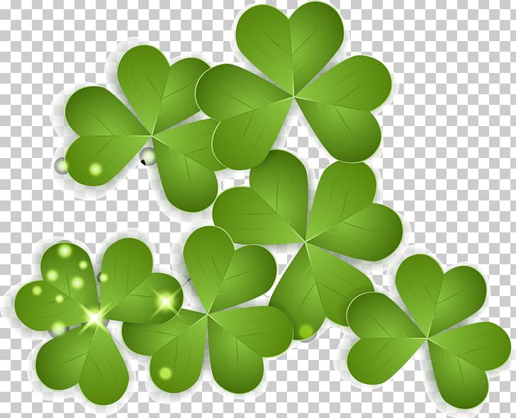 irish clover png