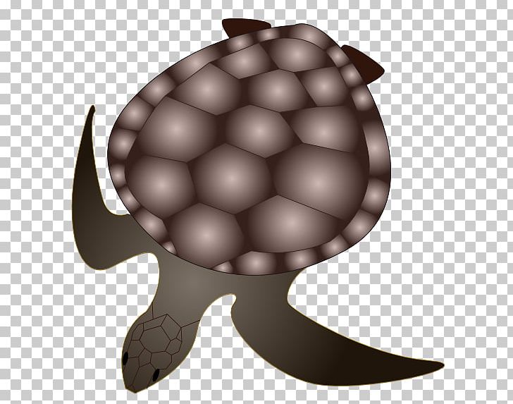 Tortoise Green Sea Turtle Reptile PNG, Clipart, Animal, Animals, Carapace, Chinese Pond Turtle, Chinese Softshell Turtle Free PNG Download