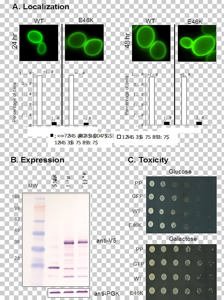 Alpha-synuclein Lake Forest College Parkinson's Disease Protein PNG, Clipart, Alpha Synuclein, Alphasynuclein, Lake Forest College, Protein Free PNG Download