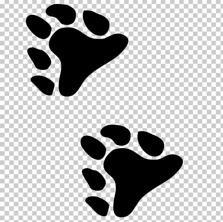 Bear Paw Line Point PNG, Clipart, Animals, Area, Bear, Black, Black And White Free PNG Download