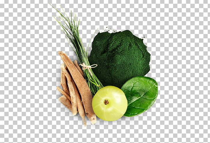 Leaf Vegetable Vegetarian Cuisine Diet Food Superfood PNG, Clipart, Barley Grass, Diet, Diet Food, Food, La Quinta Inns Suites Free PNG Download