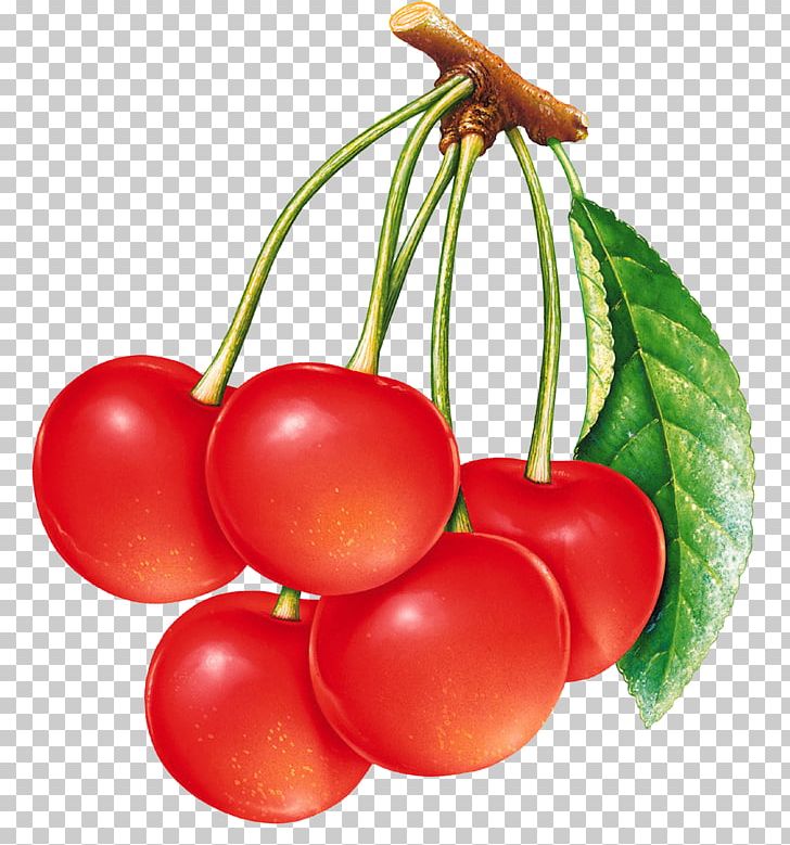 Vegetable Fruit Food Cherry PNG, Clipart, Berry, Bush Tomato, Cherry, Cherry Vector, Desktop Wallpaper Free PNG Download