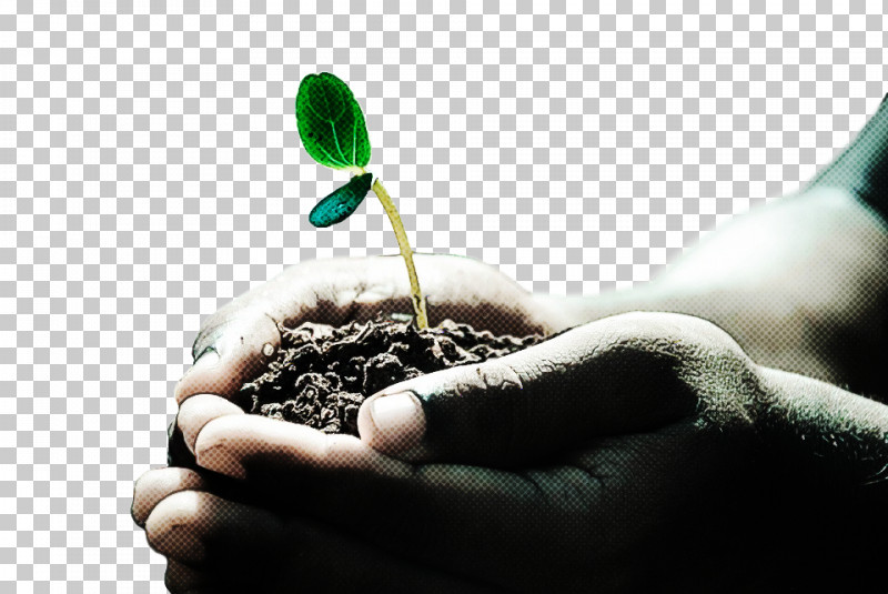 Arbor Day PNG, Clipart, Arbor Day, Finger, Flower, Gesture, Hand Free PNG Download