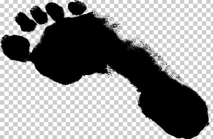 Footprint Monochrome Photography PNG, Clipart, Black, Black And White, Download, Footprint, Hand Free PNG Download