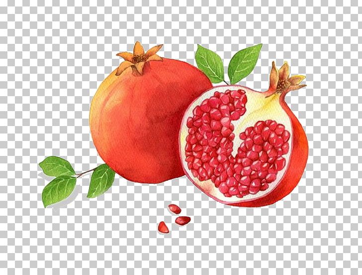 Granada Pomegranate Red Adobe Illustrator PNG, Clipart, Apple, Auglis, Berry, Diet Food, Download Free PNG Download