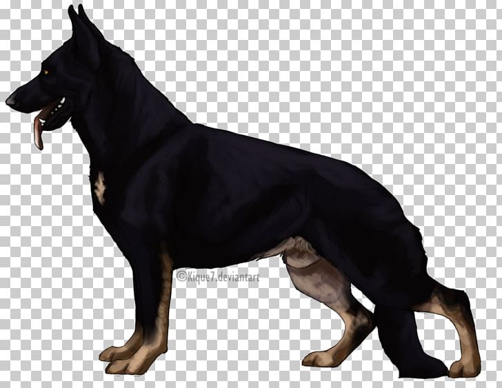 Ormskirk Terrier German Shepherd Kunming Wolfdog Australian Kelpie Berger Blanc Suisse PNG, Clipart, Animal, Australian Cattle Dog, Australian Kelpie, Canidae, Carnivoran Free PNG Download