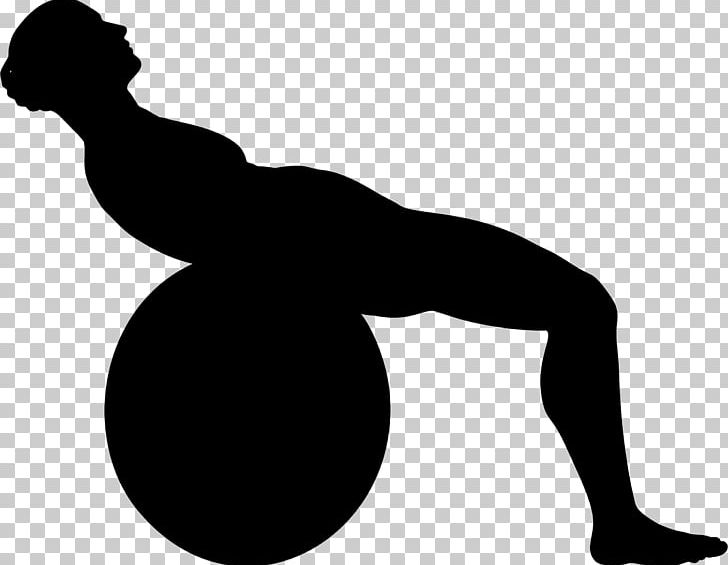 Physical Exercise Exercise Balls Fitness Centre Silhouette PNG, Clipart, Aerobic Exercise, Animals, Arm, Black And White, Core Stability Free PNG Download