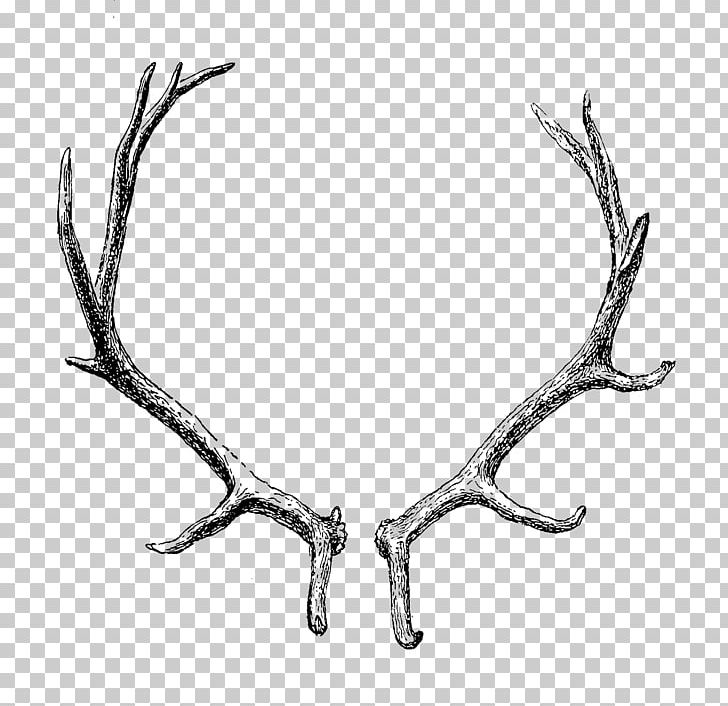 Reindeer Antler Horn PNG, Clipart, Animals, Antler, Barasingha, Black And White, Body Jewelry Free PNG Download