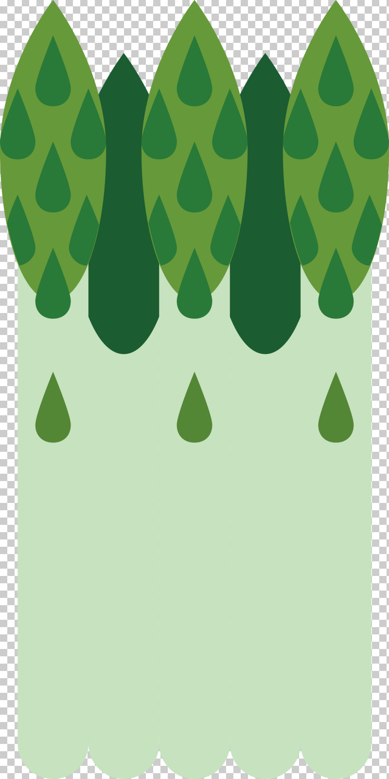 Asparagus PNG, Clipart, Asparagus, Green, Leaf, Plant, Tree Free PNG Download