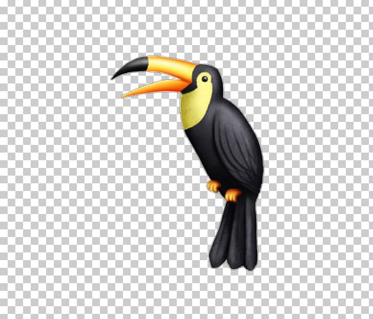 Toucan Beak Hornbill PNG, Clipart, Beak, Bird, Hornbill, Piciformes, Toucan Free PNG Download