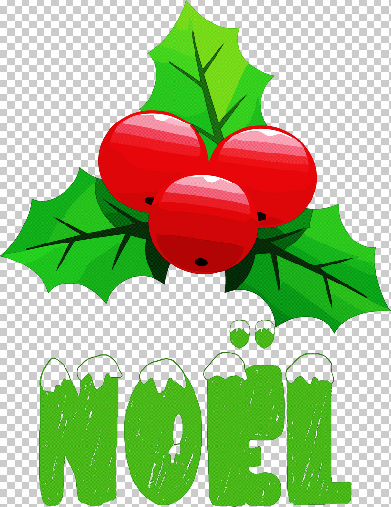 Noel Xmas Christmas PNG, Clipart, Branching, Christmas, Flower, Fruit, Green Free PNG Download