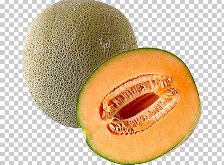 Cantaloupe Honeydew Melon Fruit PNG, Clipart, Cantaloupe, Computer Icons, Cucumber Gourd And Melon Family, Cucumis, Food Free PNG Download