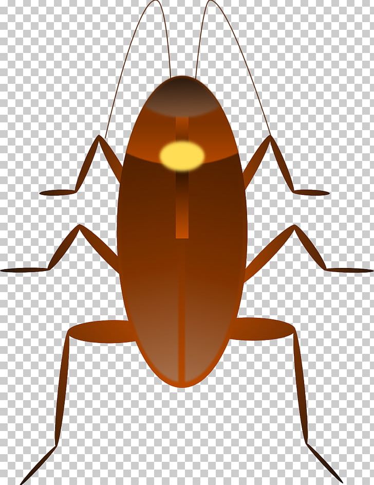 Dr. Cockroach PNG, Clipart, Animals, Arthropod, Brown Cockroach, Cockroach, Dr Cockroach Free PNG Download