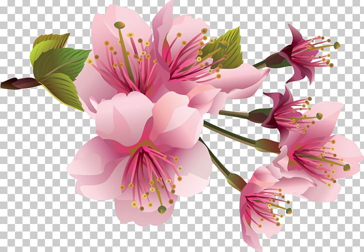 Flower Cherry Blossom PNG, Clipart, Alstroemeriaceae, Artificial Flower, Blossom, Cherry Blossom, Cut Flowers Free PNG Download
