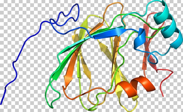 Organism Line PNG, Clipart, 1 X, Art, Artwork, D 1, Details Free PNG Download