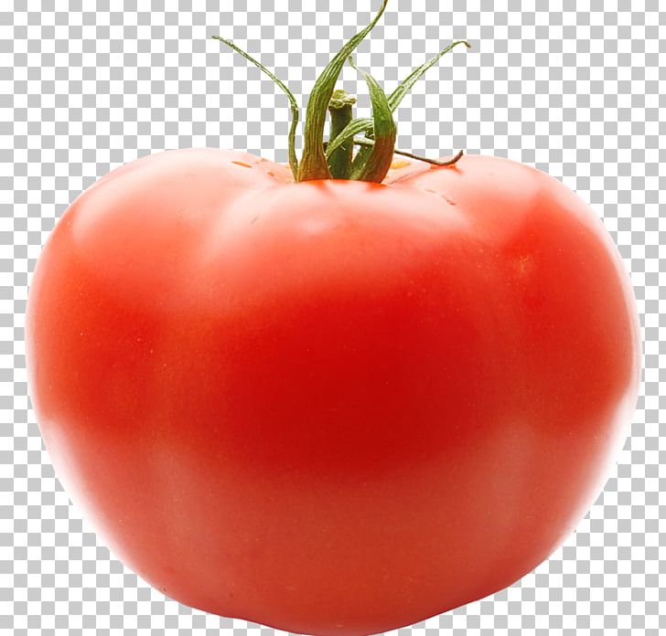 Roma Tomato Cherry Tomato PNG, Clipart, Bush Tomato, Diet Food, Food, Food Drinks, Fruit Free PNG Download