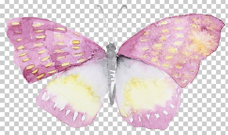 Butterfly Watercolor Painting Watercolour Flowers PNG, Clipart, Art, Arthropod, Butterfly, Butterfly Watercolor, Drawing Free PNG Download