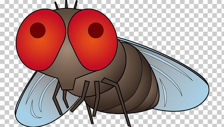 Fly Insect Mosquito Illustration Pest Control PNG, Clipart,  Free PNG Download