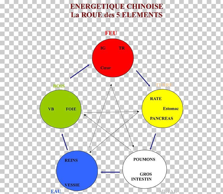 Reflexology Traditional Chinese Medicine Wu Xing Wheel Energy Medicine PNG, Clipart, Angle, Area, Chakra, Circle, Classical Element Free PNG Download