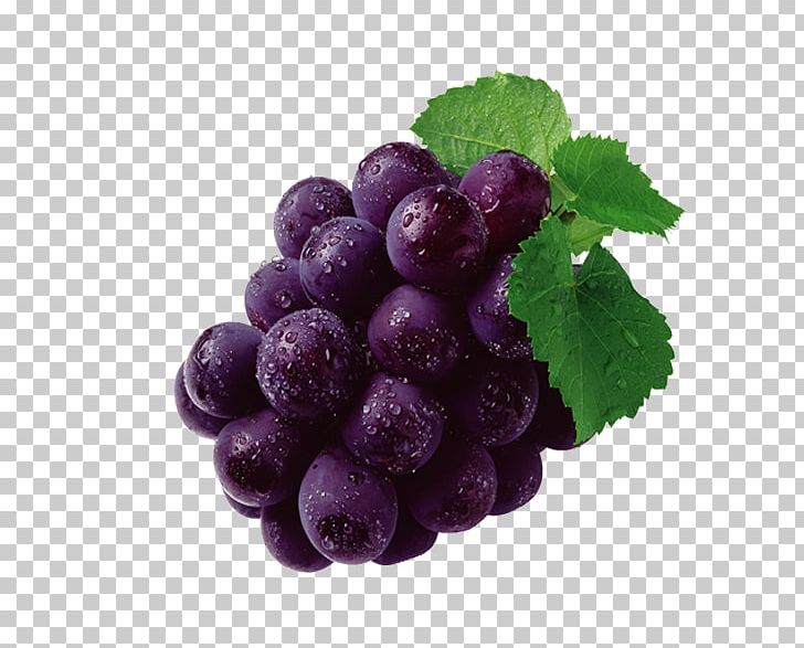 Grape Seed Extract Grape Leaves Grapevines Proanthocyanidin PNG, Clipart, Bilberry, Black Grapes, Blueberry, Capsule, Food Free PNG Download