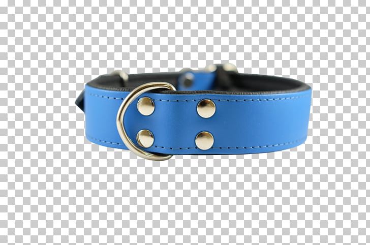 Belt Dog Collar PNG, Clipart, Belt, Blue, Blue Collar, Bracelet, Clothing Free PNG Download