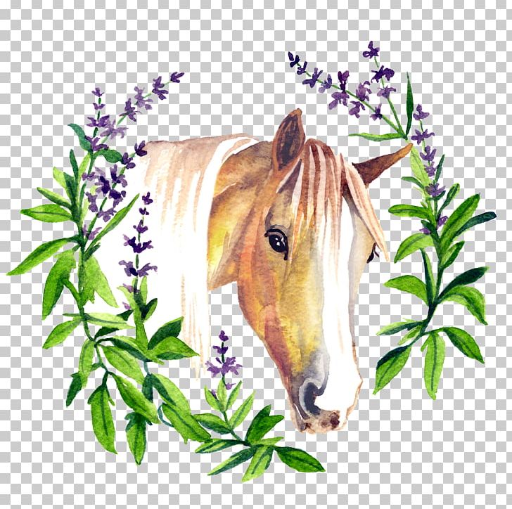 Pony Mustang American Quarter Horse Equine Polysaccharide Storage Myopathy Mane PNG, Clipart, American Quarter Horse, Draft Horse, Flower, Flowering Plant, Grass Free PNG Download