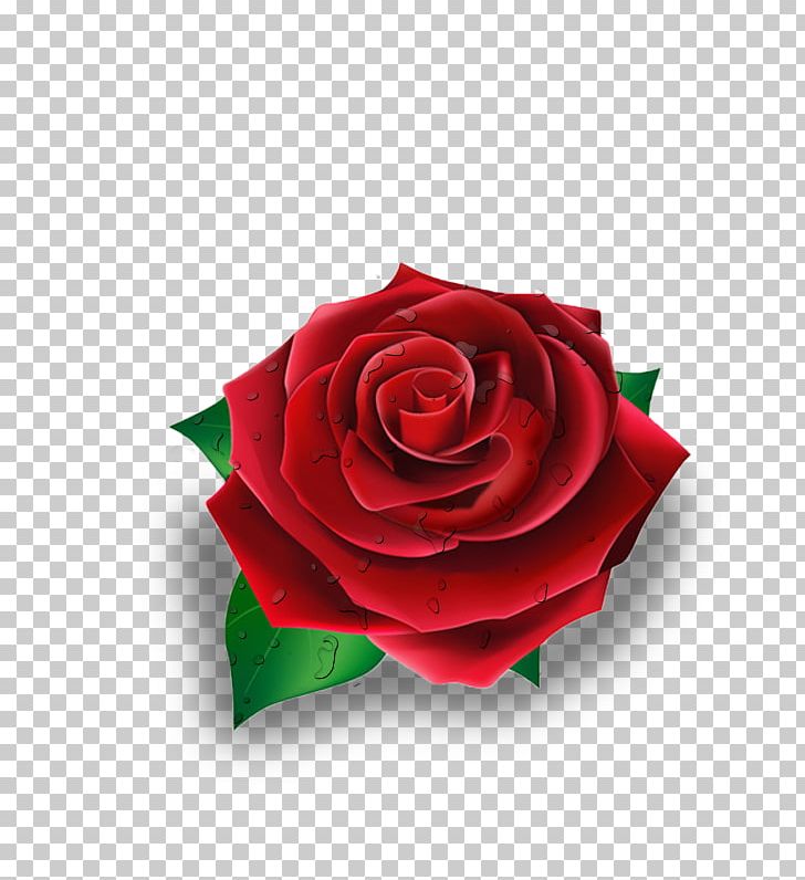 Rose Red PNG, Clipart, Cut Flowers, Download, Euclidean Vector, Flower, Flowering Plant Free PNG Download