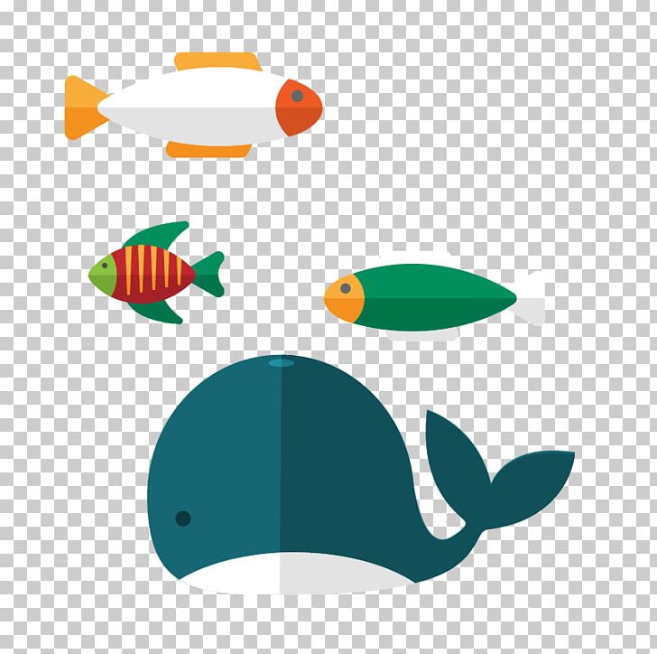Whale Aquatic Animal PNG, Clipart, Animals, Aquatic Animal, Aquatic Creatures, Blue Whale, Cartoon Whale Free PNG Download