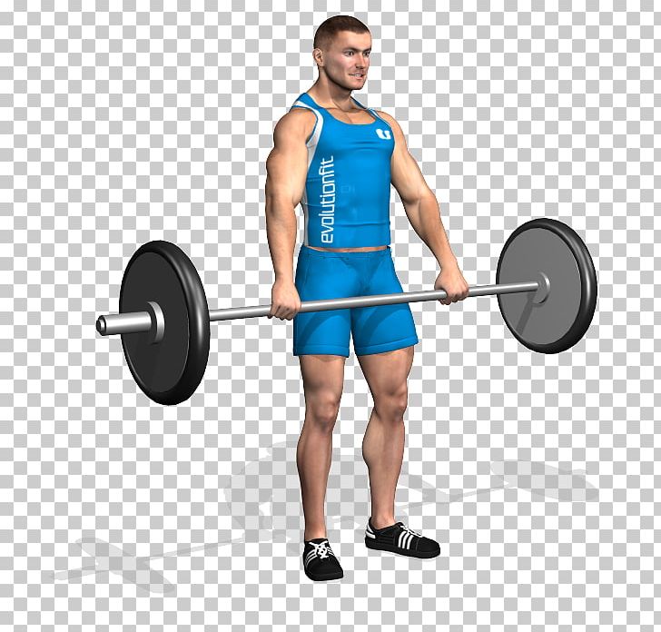 Barbell Weight Training Physical Exercise Muscle Bodybuilding PNG, Clipart, Abdomen, Arm, Balance, Barbell, Biceps Free PNG Download