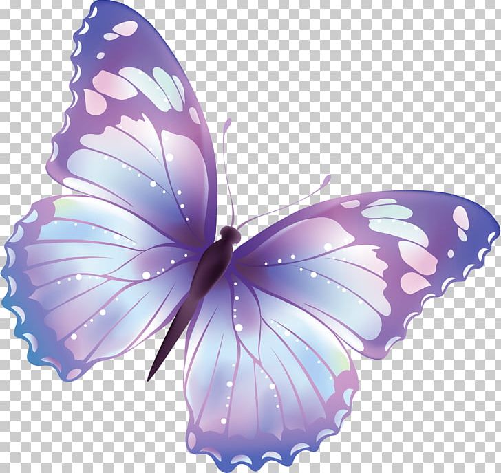 Butterfly PNG, Clipart, Backpacking, Backyard, Beautiful, Blue, Brush Footed Butterfly Free PNG Download