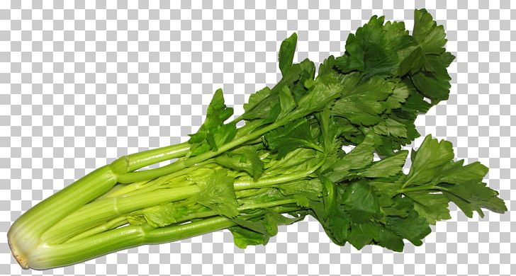 Juice Celeriac Raw Foodism Vegetable Eating PNG, Clipart, Celeriac, Celery, Chard, Choy Sum, Coriander Free PNG Download