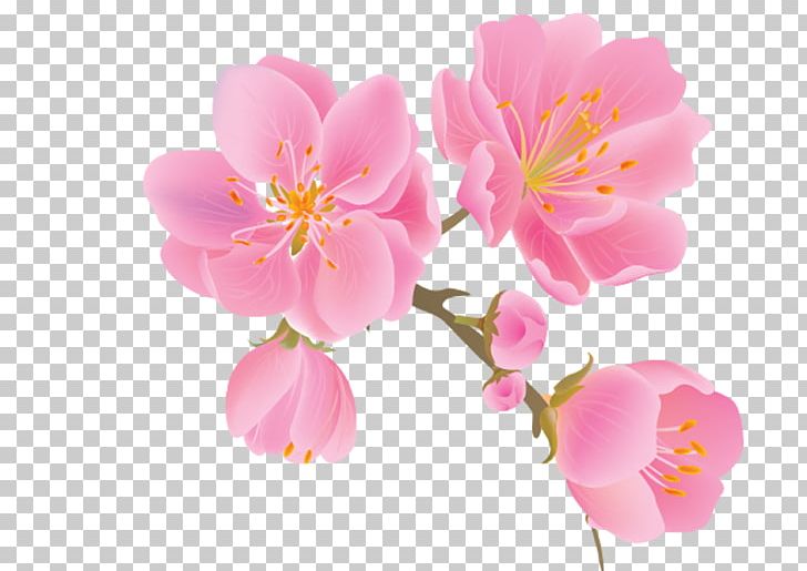 Flower Paradise Apple Tree PNG, Clipart, Apple, Apples, Apple Tree, Apricot, Blossom Free PNG Download
