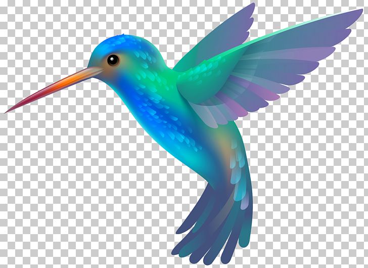Hummingbird PNG, Clipart, Art, Beak, Bird, Birds, Blog Free PNG Download