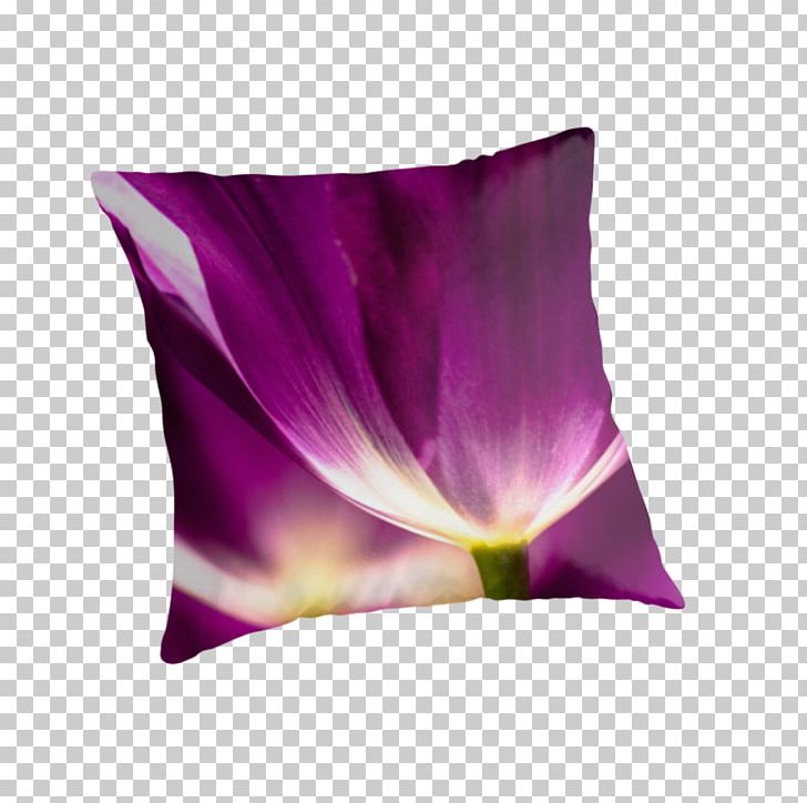 Tulip Throw Pillows Cushion Petal PNG, Clipart, Cushion, Family, Flower, Flowering Plant, Flowers Free PNG Download