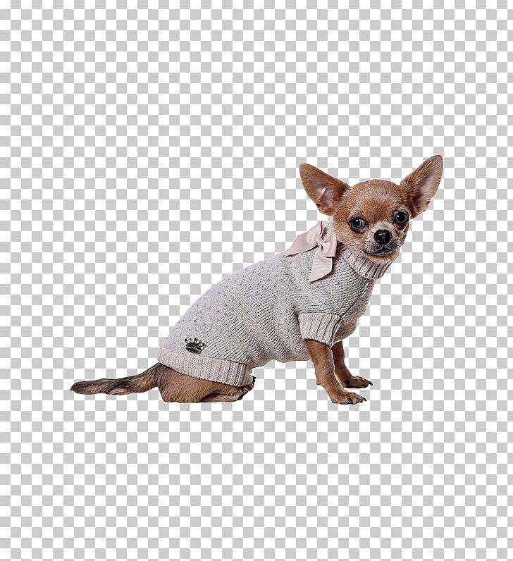 Dog Breed Chihuahua Russkiy Toy Puppy Companion Dog PNG, Clipart, Animals, Breed, Carnivoran, Chihuahua, Clothing Free PNG Download