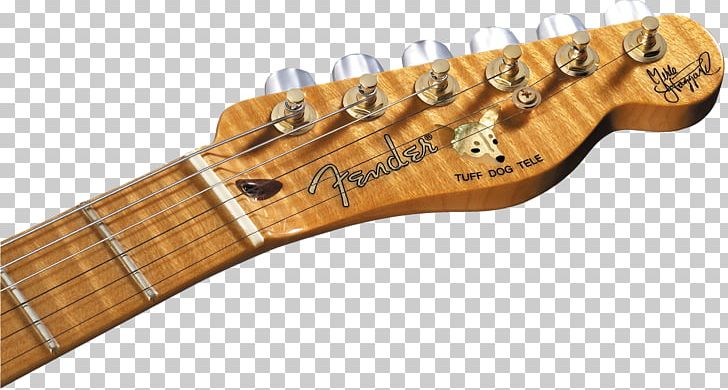 Fender Telecaster Thinline Fender Stratocaster Musical Instruments Guitar PNG, Clipart, Electric Guitar, Guitar Accessory, Guitarist, Music, Musical Instrument Free PNG Download