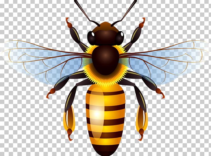Honey Bee Honey Bee PNG, Clipart, Bee, Bee Hive, Bee Honey, Bees, Bees Honey Free PNG Download