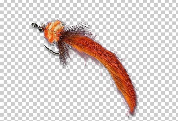 Insect Wing PNG, Clipart, Insect, Insect Wing, Invertebrate, Membrane Winged Insect, Orange Free PNG Download