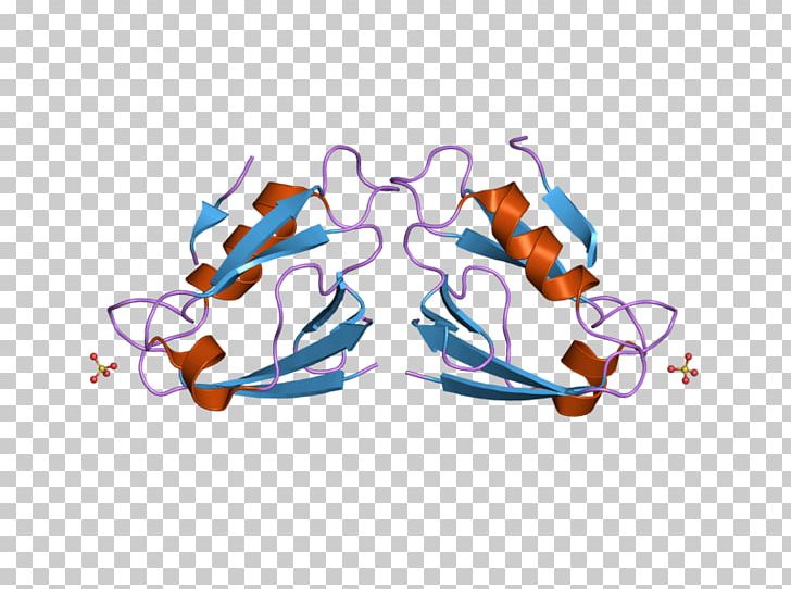 MAGI1 Membrane-associated Guanylate Kinase PDZ Domain Glasses PNG, Clipart, 2 I, Art, Ebi, Enzyme, Eyewear Free PNG Download