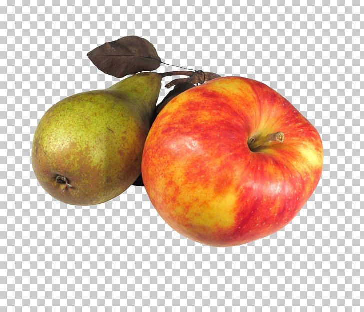 Apples Mespilus Amygdaloideae Pear PNG, Clipart, Apple, Apple Fruit, Apple Logo, Apples, Apple Tree Free PNG Download