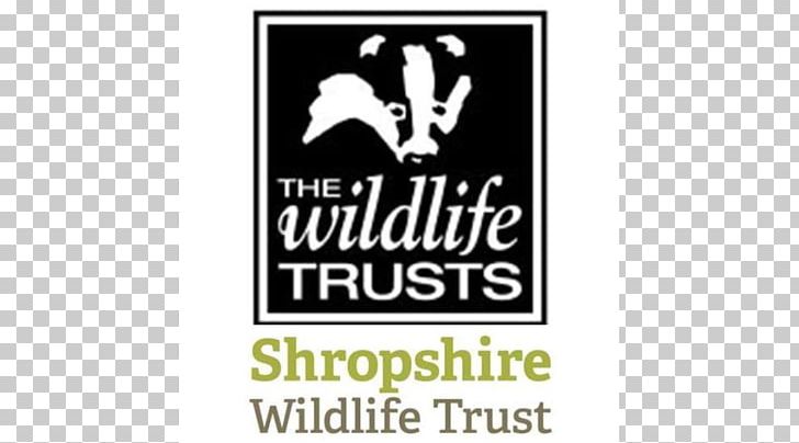 Lincolnshire Wildlife Trust The Wildlife Trusts Derbyshire Wildlife Trust Herts And Middlesex Wildlife Trust PNG, Clipart, Area, Black, Brand, Conservation, Lincolnshire Free PNG Download