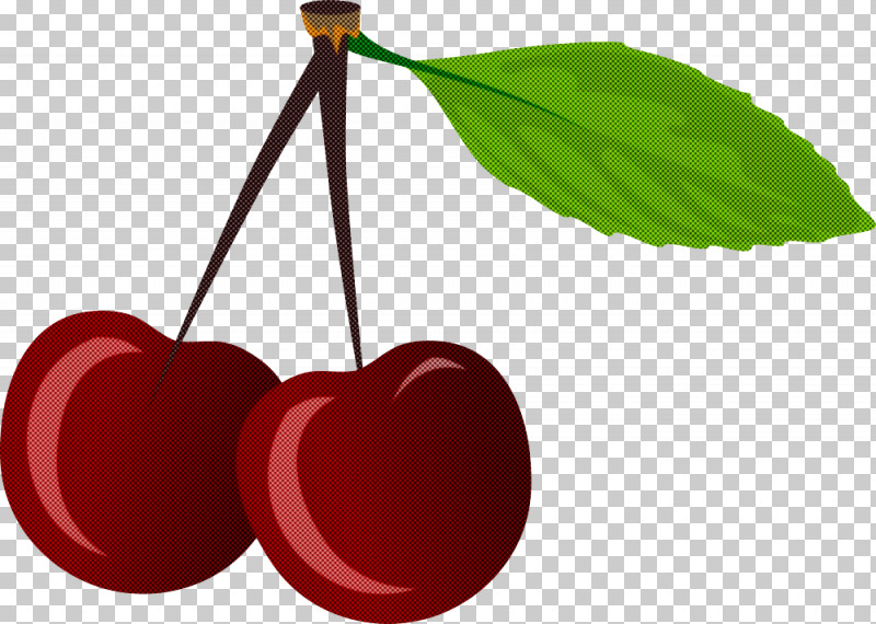 Cherry Leaf Red Plant Tree PNG, Clipart, Cherry, Drupe, Fruit, Leaf, Plant Free PNG Download
