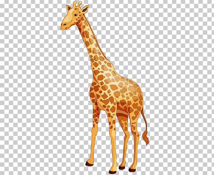Baby Giraffes Northern Giraffe PNG, Clipart, Animal, Animal Figure, Animals, Baby Giraffes, Cartoon Free PNG Download