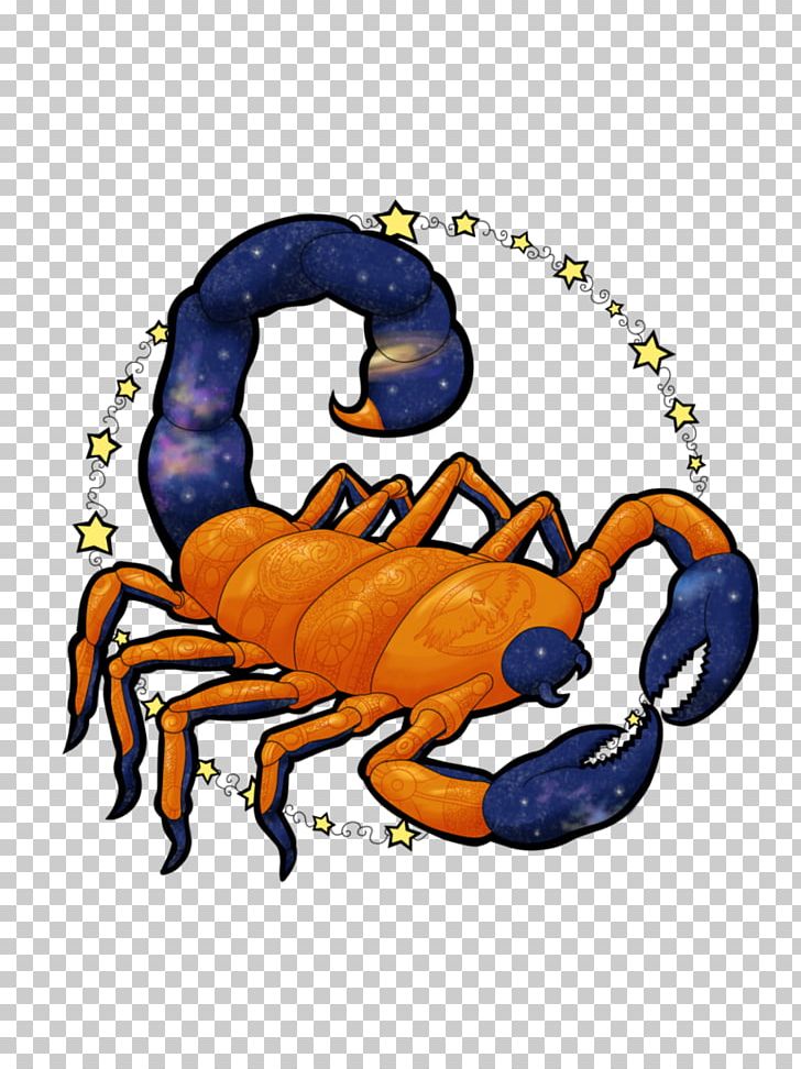 Crab PNG, Clipart, Arachnid, Arthropod, Crab, Invertebrate, Organism Free PNG Download