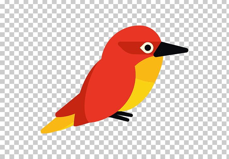 Graphic Design PNG, Clipart, Alta, Beak, Bird, Clip Art, Common Kingfisher Free PNG Download