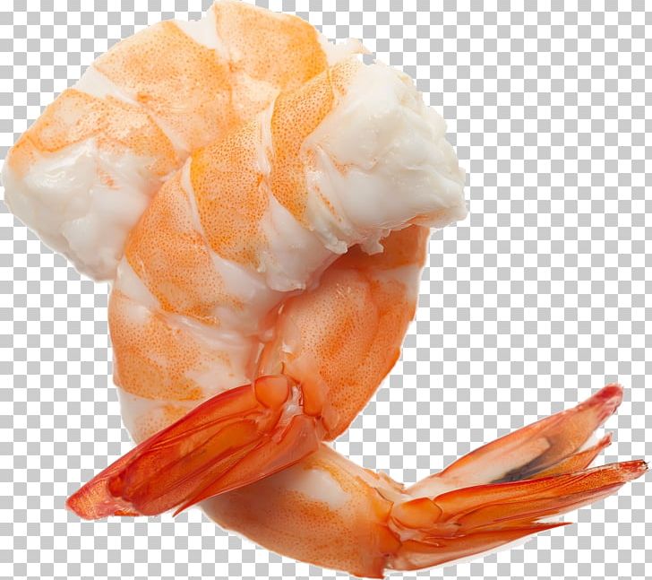 Shrimps PNG, Clipart, Shrimps Free PNG Download