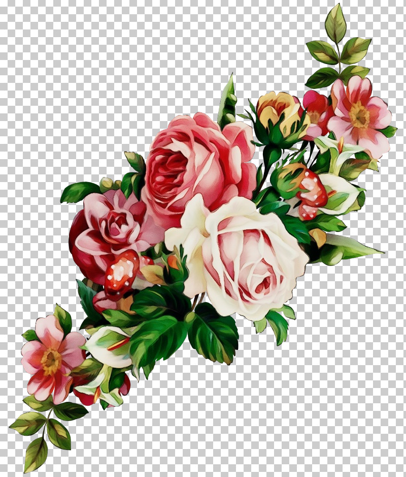 Garden Roses PNG, Clipart, Artificial Flower, Bouquet, Camellia, Cut ...