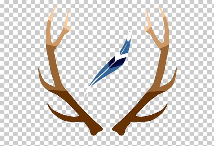 Deer Antler Horn Animal Product PNG, Clipart, Animal, Animal Product, Animals, Antler, Deer Free PNG Download