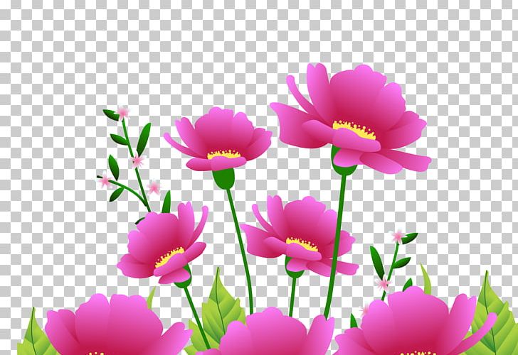 Flower Pink Red PNG, Clipart, Annual Plant, Computer Wallpaper, Daisy Family, Floristry, Flower Free PNG Download